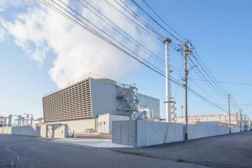 発電所を囲う塀のねっこ