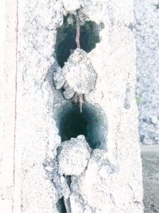 腐食した鉄筋【ブロック塀マニアックス 6】