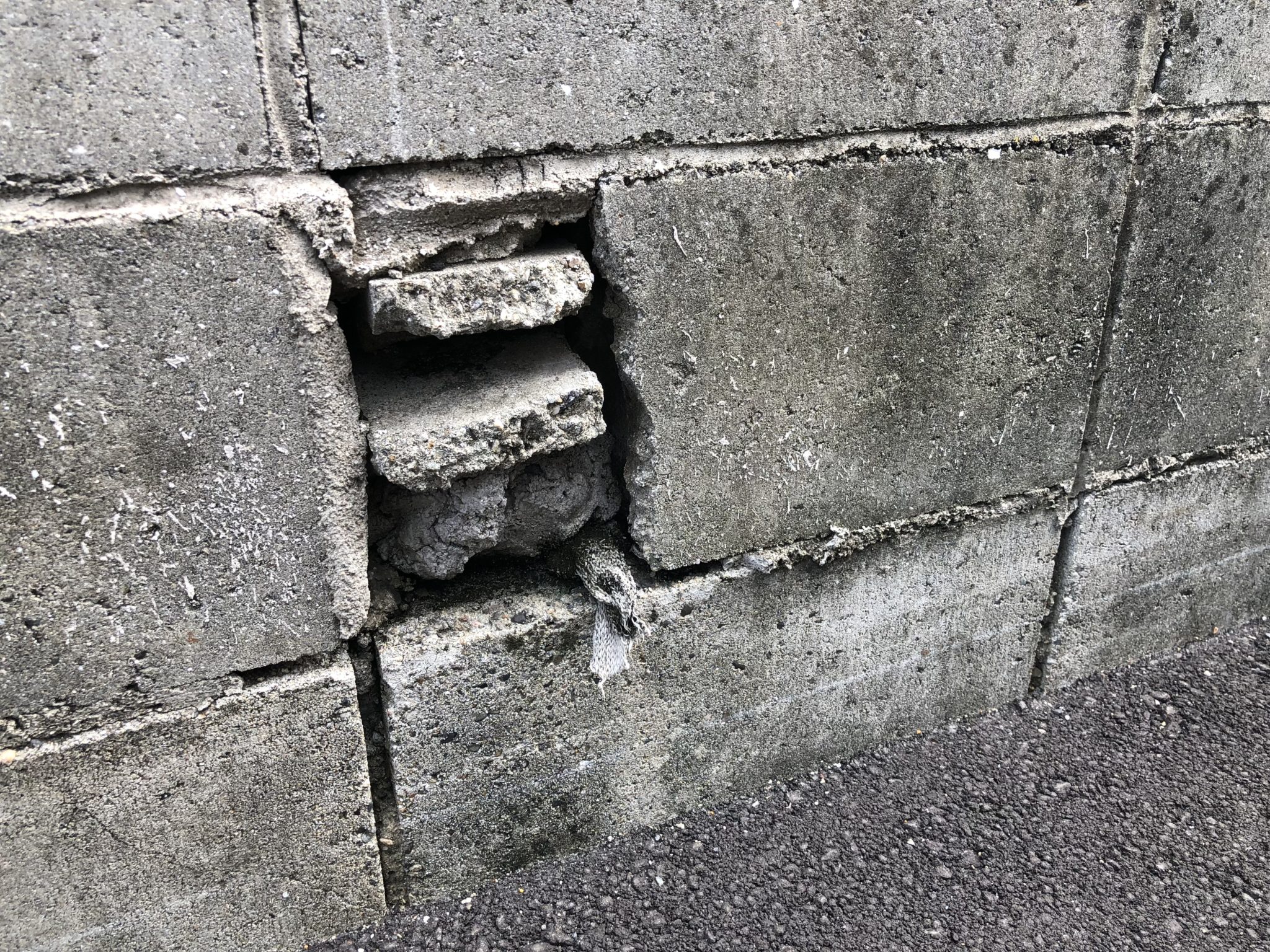 【骨なし塀】ブロック塀マニアックス 4