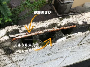 ブロック塀マニアックス-2