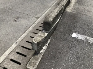 ブロック塀マニアックス-1