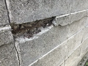 【ブロック塀の寿命】ブロック塀マニアックス-8