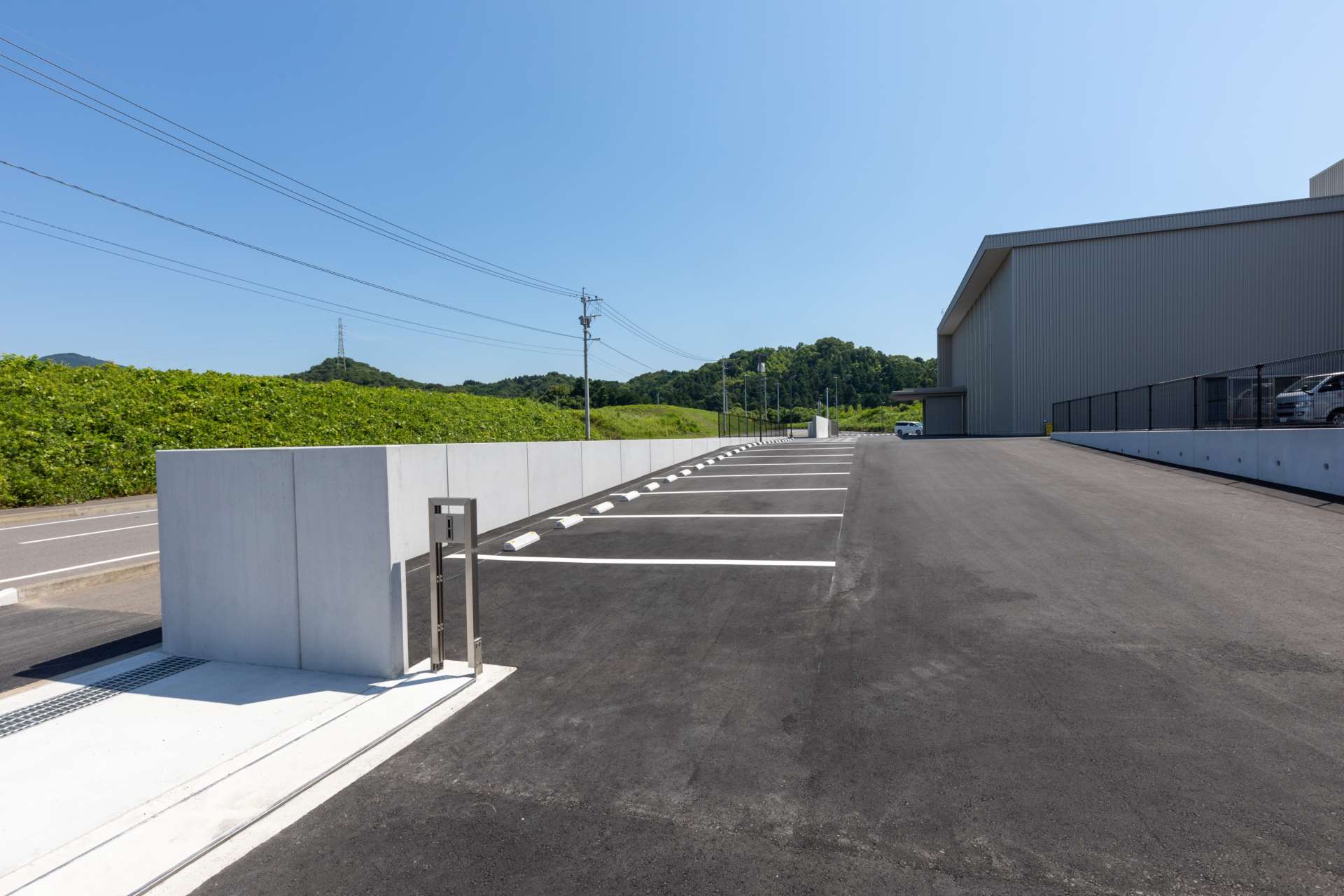 敷地内側から見た塀のねっこ