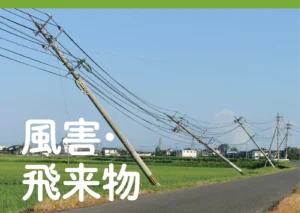 台風の風で塀はどうなるのか　塀のねっこマニアックス-5