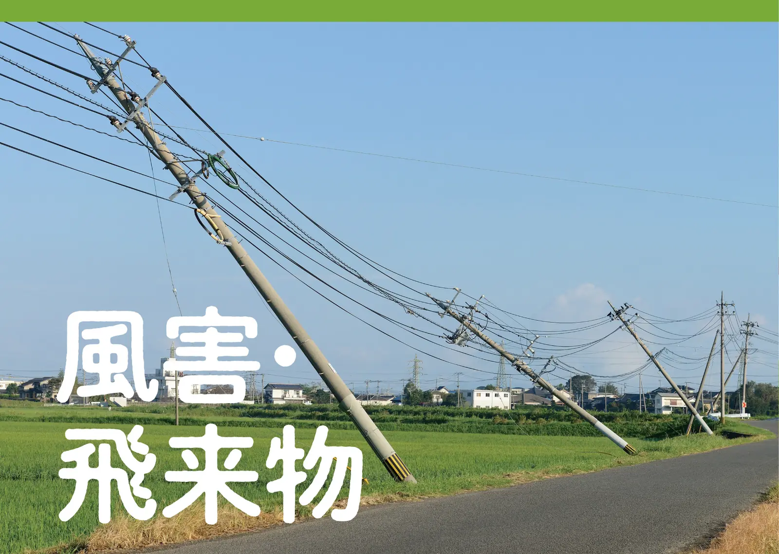風害の現状