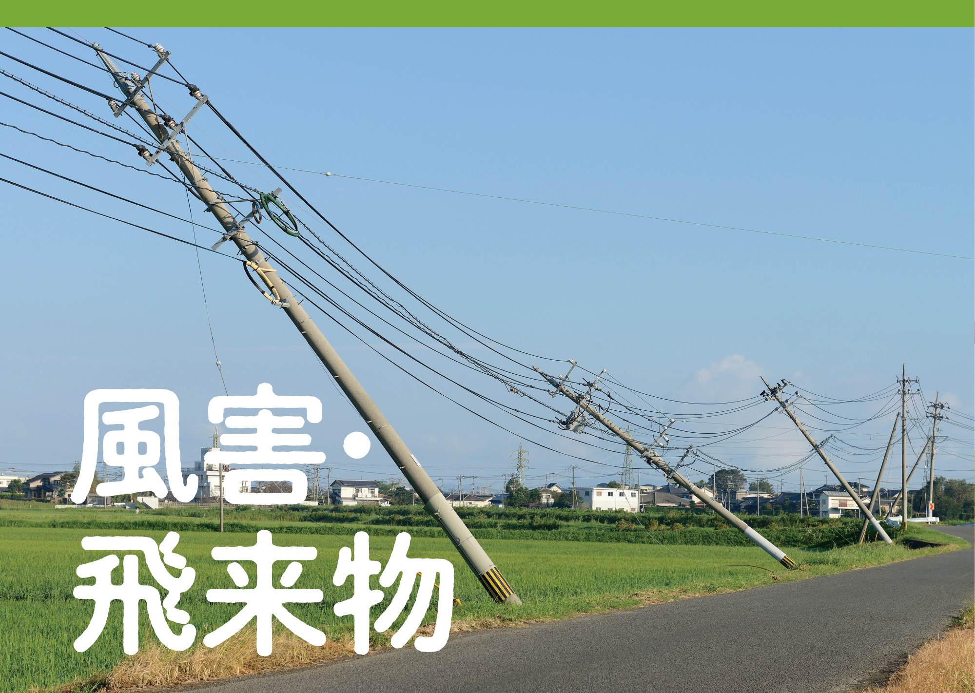 風害の現状